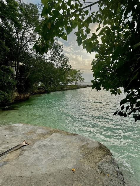 Samal Blu Private Resort Reviews, Rates, Photos, and Map .